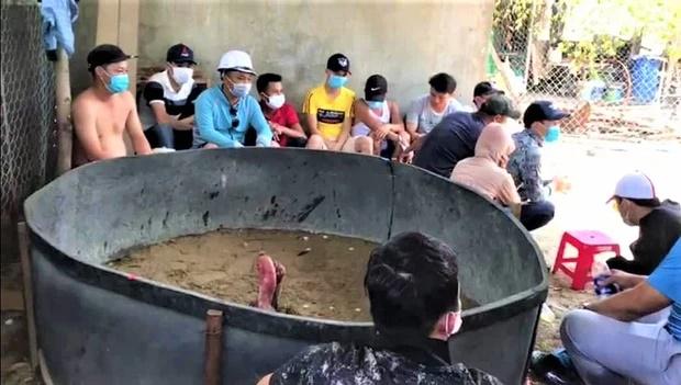 Bị phạt 225 triệu đồng vì tụ tập xem đá gà giữa mùa dịch Covid-19-1