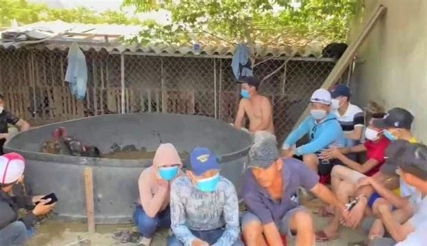 Bị phạt 225 triệu đồng vì tụ tập xem đá gà giữa mùa dịch Covid-19-2