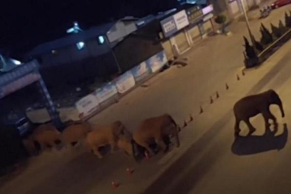 Trung Quốc phát hiện pháo đài từ thời nhà Minh-1