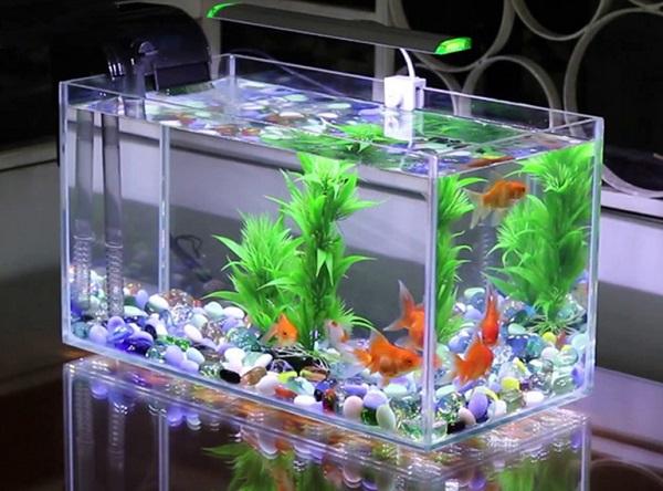 Nhà có những dấu hiệu bất thường này báo hiệu vận đen đang tới, cần sửa gấp-3