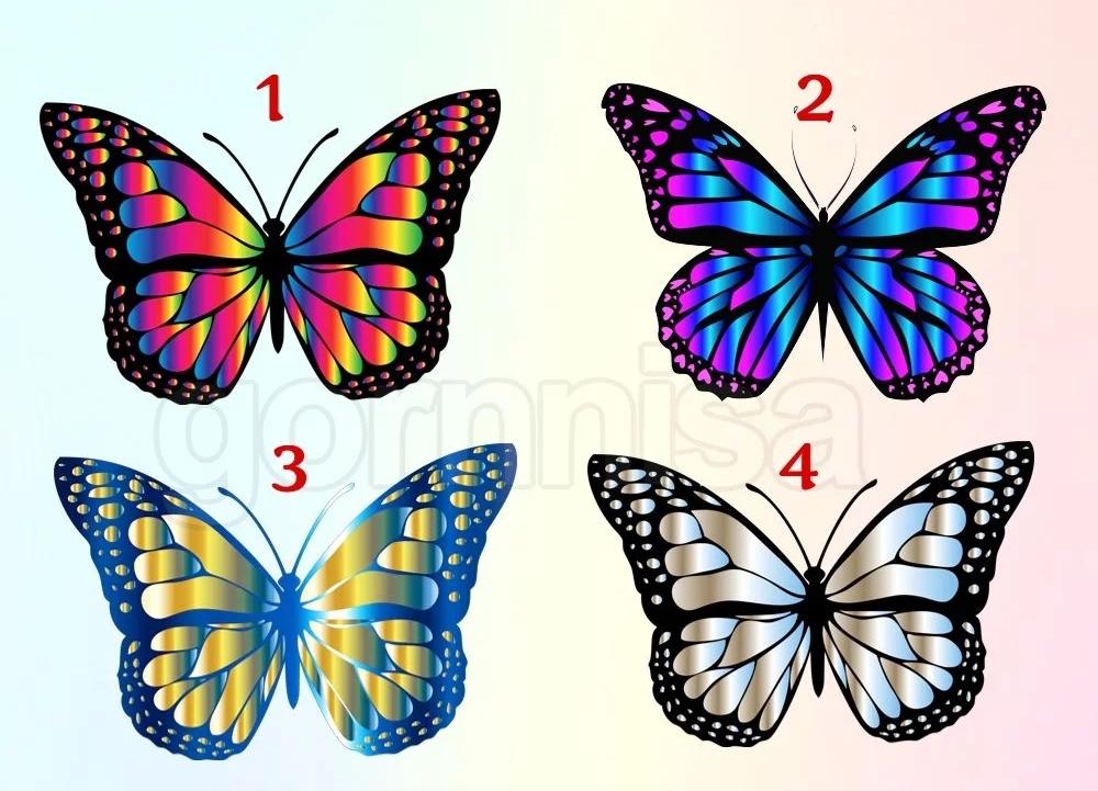 Chọn con bướm yêu thích tìm ra tính cách nổi bật nhất của chính mình-1