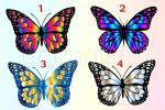 Chọn con bướm yêu thích tìm ra tính cách nổi bật nhất của chính mình