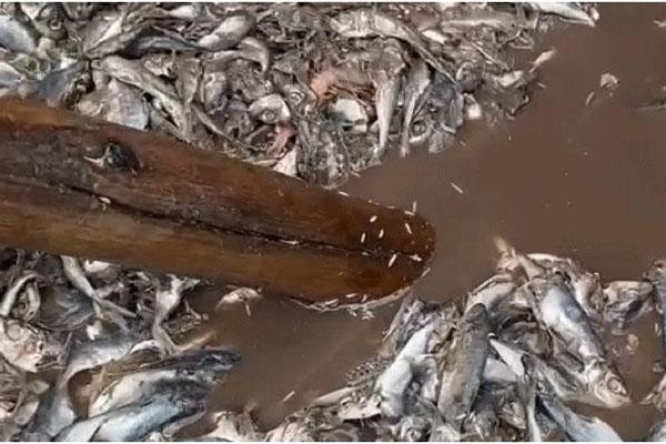 Phẫn nộ lời đáp trả của người phụ nữ bán sầu riêng khi bị phát hiện gian lận-2