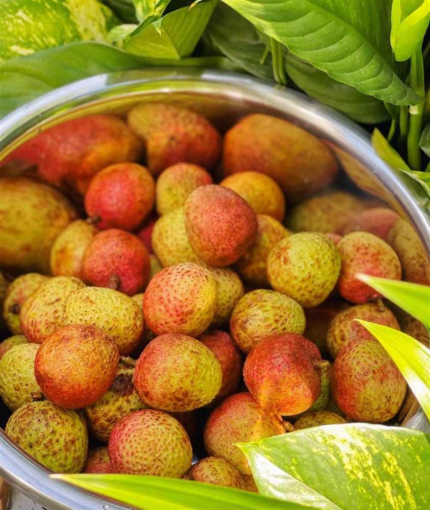 Vào mùa, học lỏm ngay cách làm vải ngâm đường để dành pha trà giải khát mùa hè-3