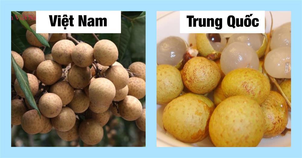 Chỉ cần dùng mắt thường nhìn ra ngay quả Trung Quốc đội lốt, chị em thông thái xem ngay-1