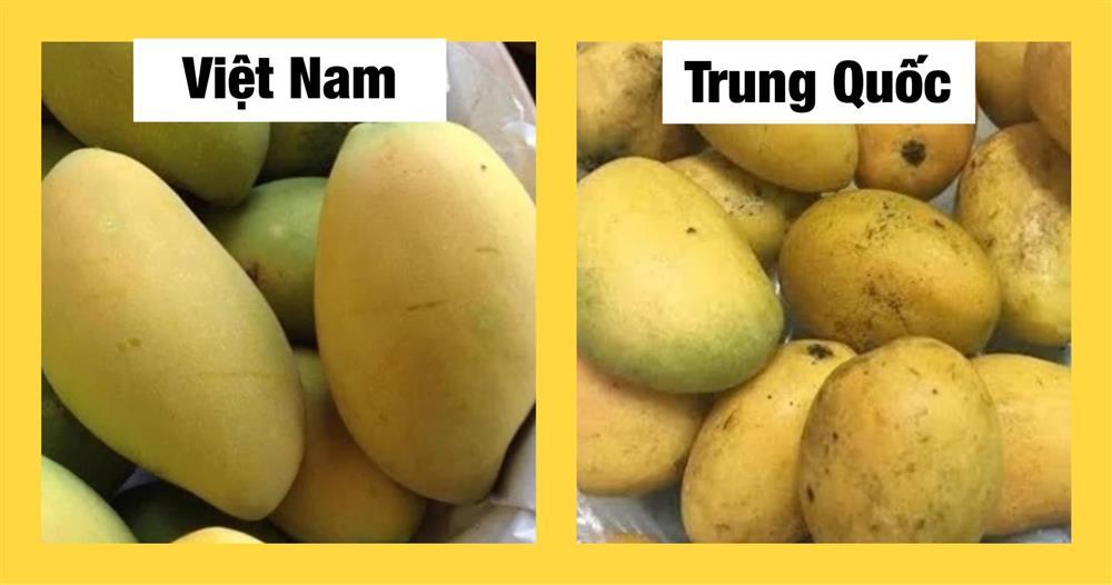 Chỉ cần dùng mắt thường nhìn ra ngay quả Trung Quốc đội lốt, chị em thông thái xem ngay-2