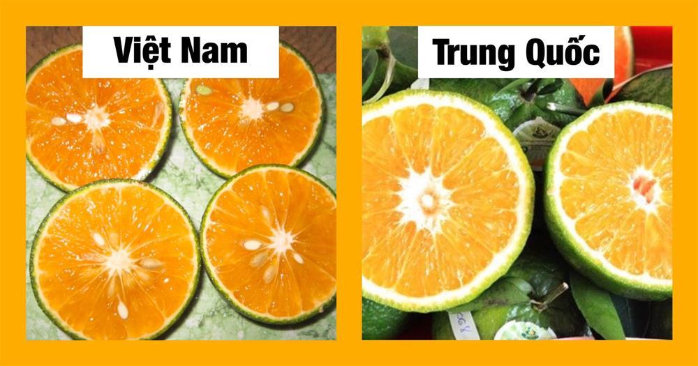 Chỉ cần dùng mắt thường nhìn ra ngay quả Trung Quốc đội lốt, chị em thông thái xem ngay-4
