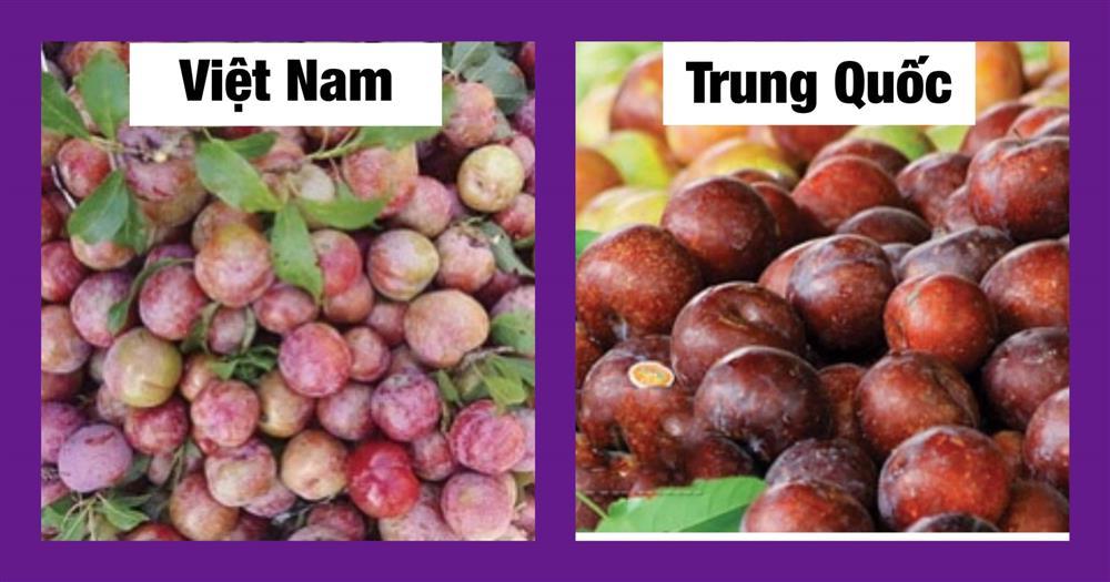Chỉ cần dùng mắt thường nhìn ra ngay quả Trung Quốc đội lốt, chị em thông thái xem ngay-5