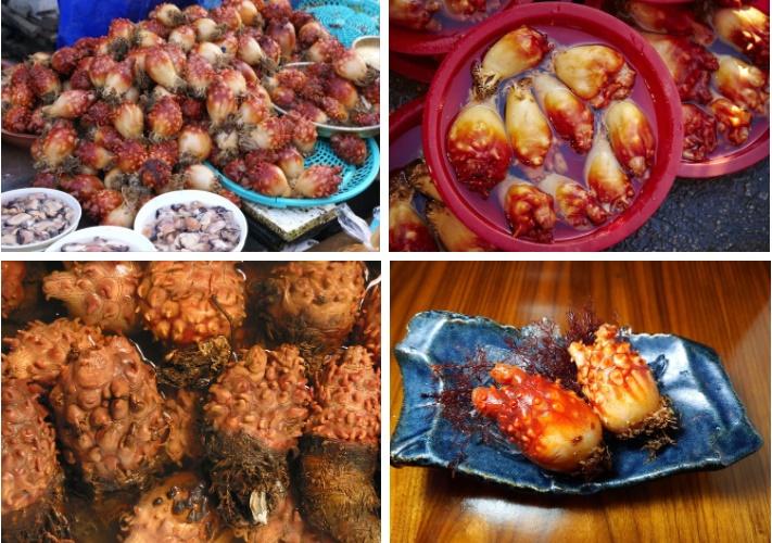 Loài hải sản có vẻ ngoài xấu kinh dị nhưng lại được người Nhật cực ưa chuộng-3