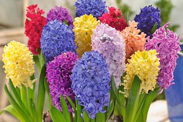 2 cung hoàng đạo gây lú khi thực tế và tưởng tượng khác xa nhau-3