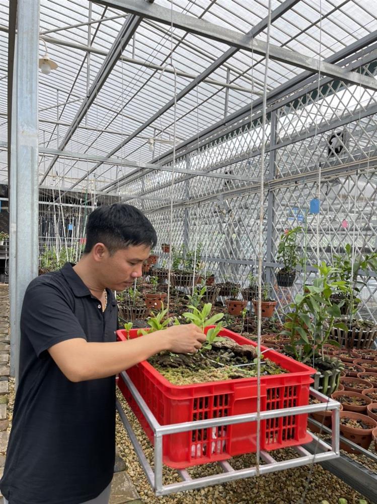 Chủ vườn lan Tam Đảo bật mí cách trồng lan cực chất cho người mới bắt đầu-1
