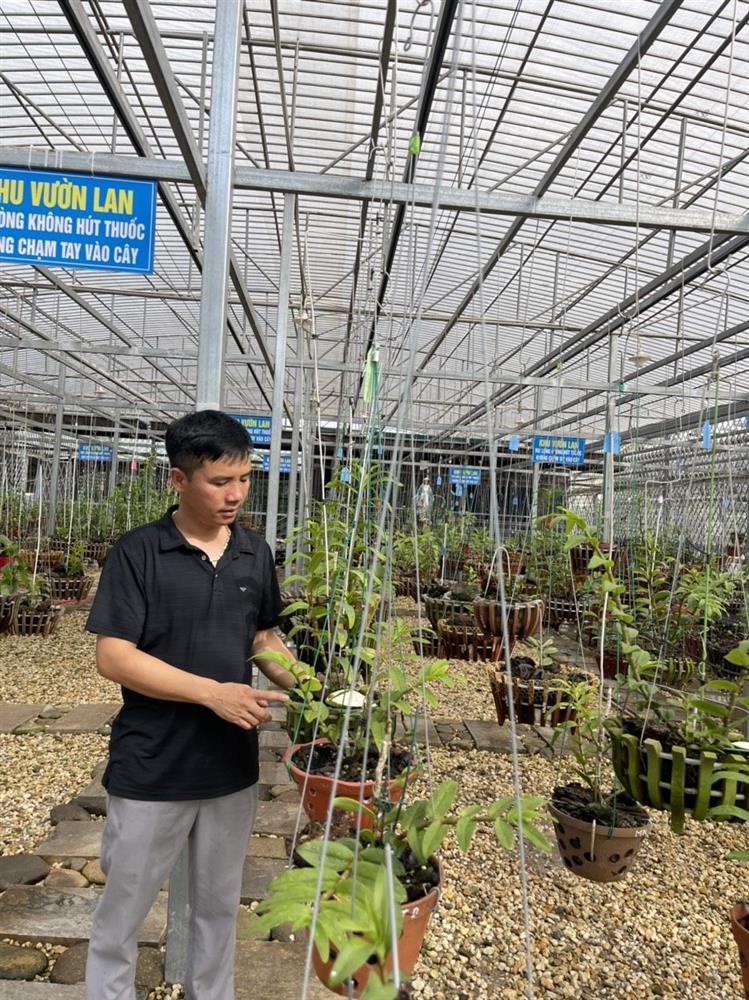 Chủ vườn lan Tam Đảo bật mí cách trồng lan cực chất cho người mới bắt đầu-5