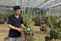 Chủ vườn lan Tam Đảo bật mí cách trồng lan cực chất cho người mới bắt đầu