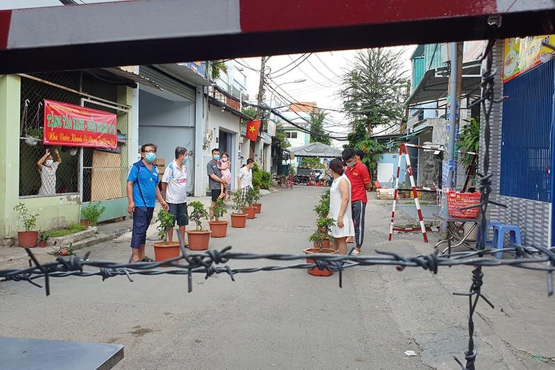 TP HCM: Dân vùng phong tỏa được tặng cây táo Mỹ, thi ai chăm cây tốt hơn-2