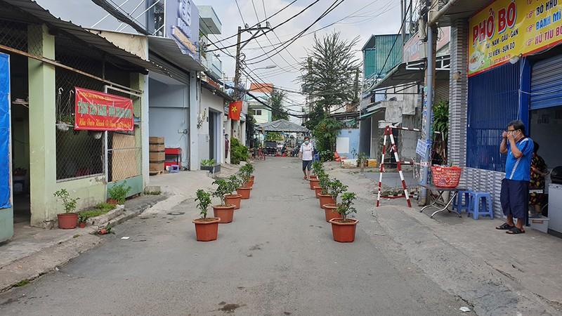 TP HCM: Dân vùng phong tỏa được tặng cây táo Mỹ, thi ai chăm cây tốt hơn-4