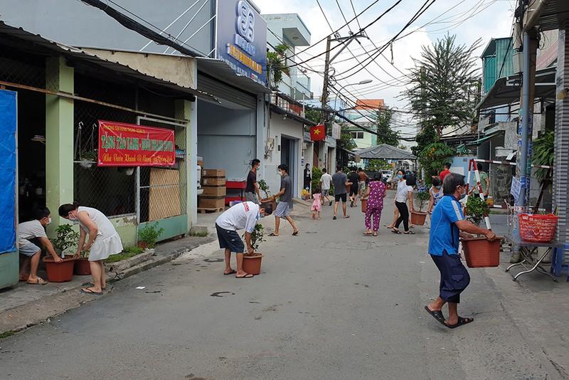 TP HCM: Dân vùng phong tỏa được tặng cây táo Mỹ, thi ai chăm cây tốt hơn-5