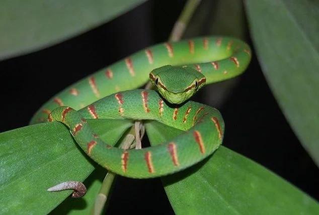 8 giấc mơ báo hiệu Thần Tài chuẩn bị gõ cửa, tin vui đến tới tấp khiến ai cũng ghen tỵ-3