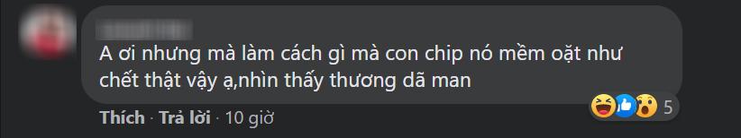Hương Vị Tình Thân: Chú chó đóng vai thú cưng của Nam khiến khán giả phát cuồng-4