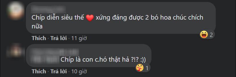 Hương Vị Tình Thân: Chú chó đóng vai thú cưng của Nam khiến khán giả phát cuồng-7