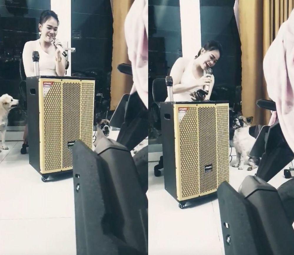 Vừa xây nhà, tậu xế hộp, thánh sún Ngân Thảo chuẩn bị gia nhập showbiz?-2