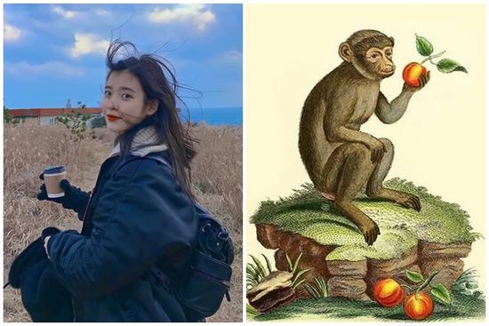 Tử vi thứ Bảy ngày 5/6/2021 của 12 con giáp: Thân có thái độ tiêu cực