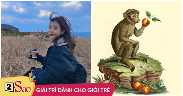 Tử vi thứ Bảy ngày 5/6/2021 của 12 con giáp: Thân có thái độ tiêu cực