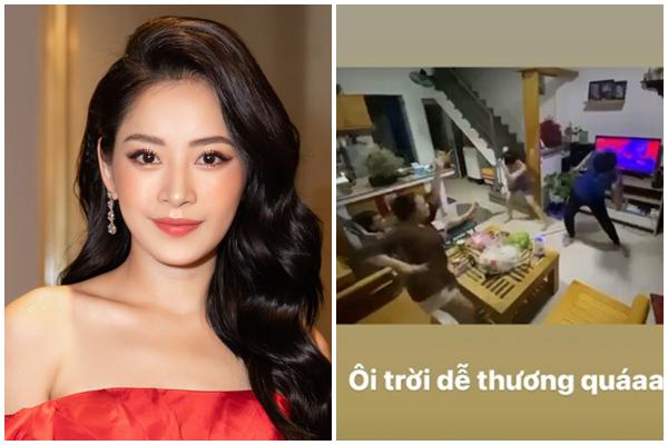 Chi Pu đứng ngồi không yên trước màn quẩy ‘Đóa Hoa Hồng’ cực nhiệt của fan