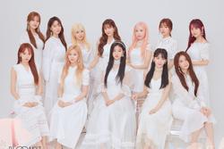 Fan IZ*ONE quyên góp hơn 66 tỷ đồng với mong muốn tái hợp nhóm