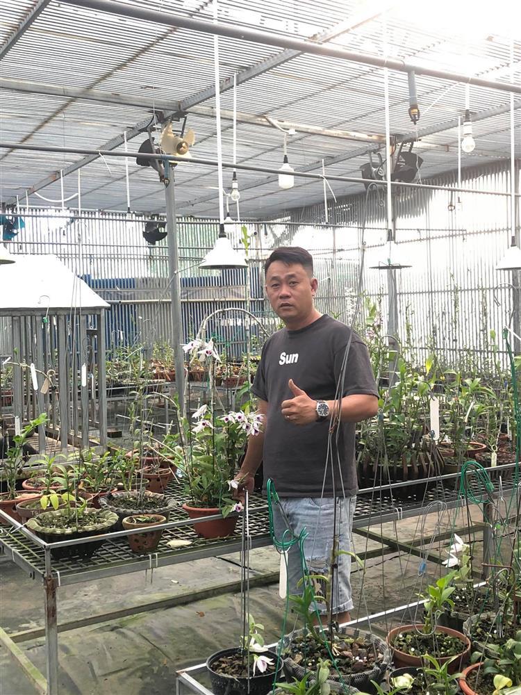 Ông chủ vườn lan Lâm Đồng chia sẻ cách chăm lan cho người mới-1