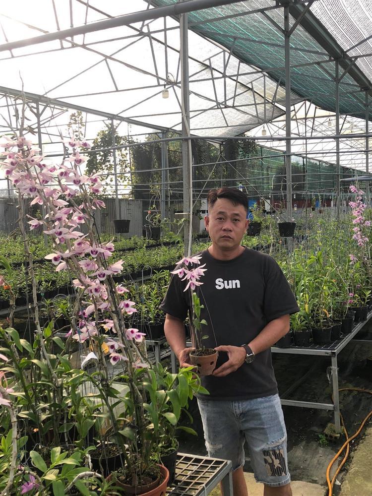 Ông chủ vườn lan Lâm Đồng chia sẻ cách chăm lan cho người mới-2