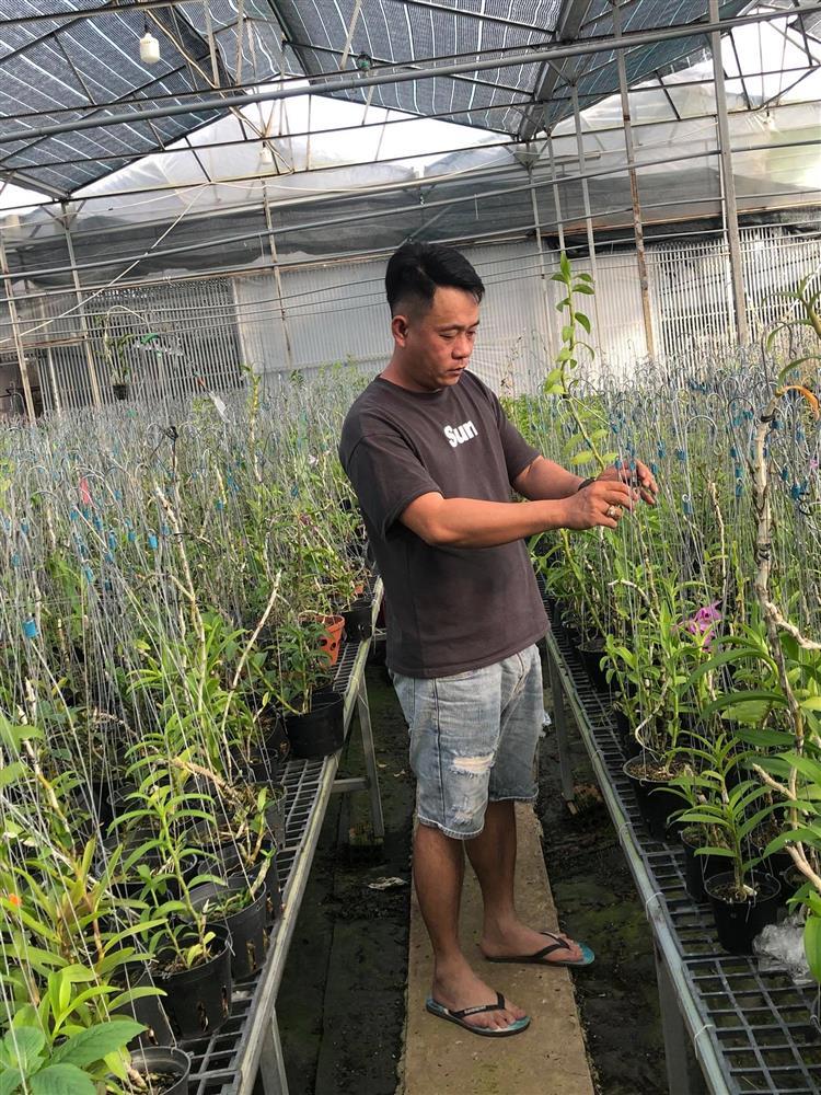 Ông chủ vườn lan Lâm Đồng chia sẻ cách chăm lan cho người mới-3