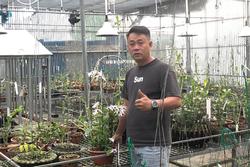 Ông chủ vườn lan Lâm Đồng chia sẻ cách chăm lan cho người mới