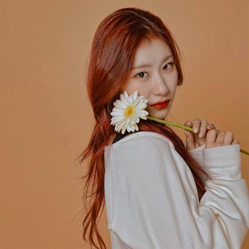 Tử vi tuần mới từ 7/6/2021 - 13/6/2021 của 12 con giáp: Dậu tài chính suy giảm-4