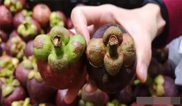 Chị em ghim ngay bí kíp chọn măng cụt ngon ngọt, 10 quả chuẩn cả 10-3