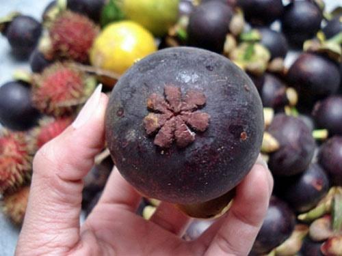 Chị em ghim ngay bí kíp chọn măng cụt ngon ngọt, 10 quả chuẩn cả 10-6