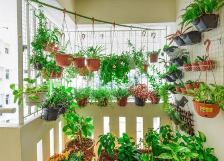 Trồng cây trước nhà lỗi thời, đây mới là vị trí lộc khí nhà giàu nào cũng có-2