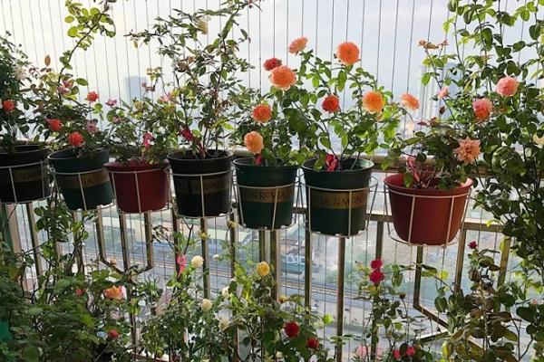 Nữ nhân sinh tháng âm lịch này chuẩn bị tinh thần, tháng 6 là tháng phú quý-2