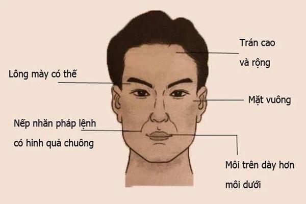 Tử vi thứ Ba ngày 8/6/2021 của 12 con giáp: Tý có nhiều cơ hội kiếm tiền-5