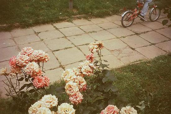 Tử vi 12 cung hoàng đạo thứ Ba ngày 8/6/2021: Cự Giải nhạy cảm quá mức