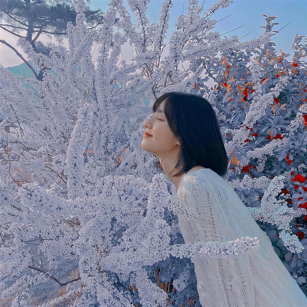 Thứ Tư ngày 9/6/2021 của 12 con giáp: Tỵ gặp vận may nhờ sự giúp đỡ của đồng nghiệp-4