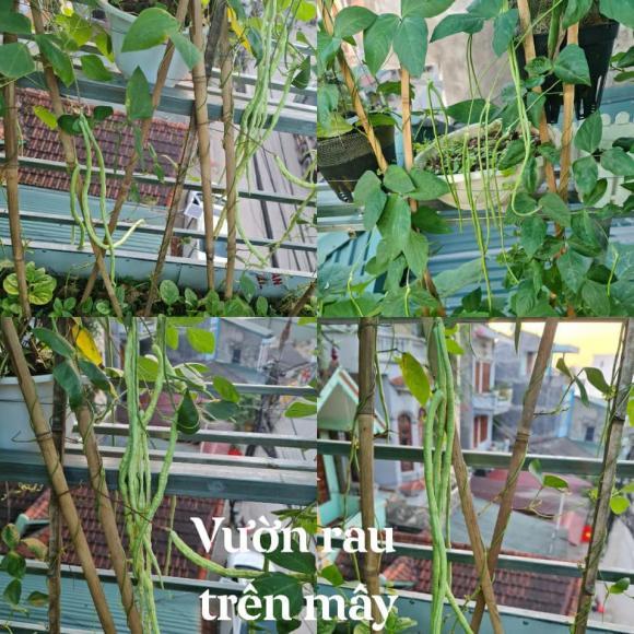 Cuộc sống cô dâu 62 tuổi Thu Sao và chồng trẻ Hoa Cương giờ ra sao?-5