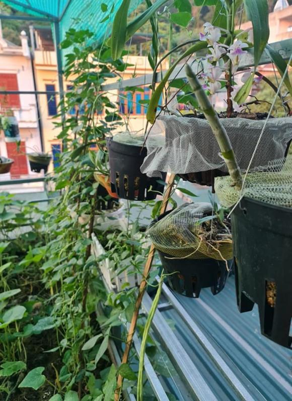 Cuộc sống cô dâu 62 tuổi Thu Sao và chồng trẻ Hoa Cương giờ ra sao?-6