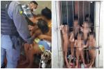 Giải cứu 7 đứa trẻ trần truồng, người bầm tím bị nhốt trong nhà chật hẹp