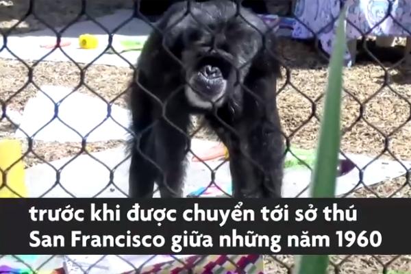 Thái Lan chạy đua mở cửa đón du khách tới Phuket-1