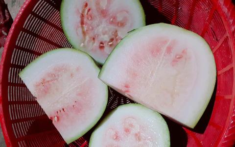 Tin lời hội chị em bày cách chọn dưa ngon, cô gái ngã ngửa sau nhát dao đầu tiên-3