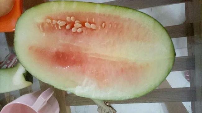 Tin lời hội chị em bày cách chọn dưa ngon, cô gái ngã ngửa sau nhát dao đầu tiên-4