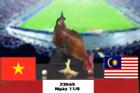 'Gà tiên tri' dự đoán kết quả trận Việt Nam với Malaysia đêm nay
