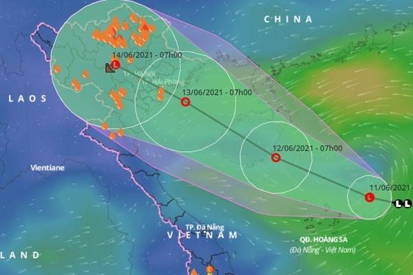 Hà Nội: Cây cổ thụ hàng chục năm tuổi bất ngờ bật gốc sau trận gió lớn, đè sập tường Tòa án nhân dân tối cao-10