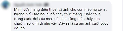 Tác phẩm nấu ăn chuột khổng lồ từ thịt xay khiến ai nhìn cũng hết hồn-2