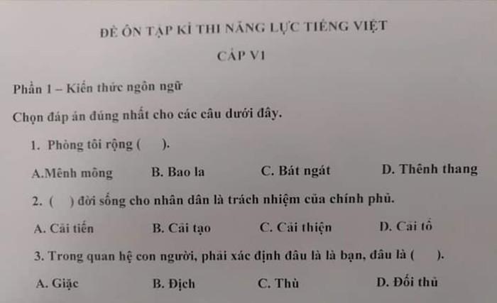 Đề thi năng lực tiếng Việt dành cho người Nhật, đọc xong chỉ muốn lú-4